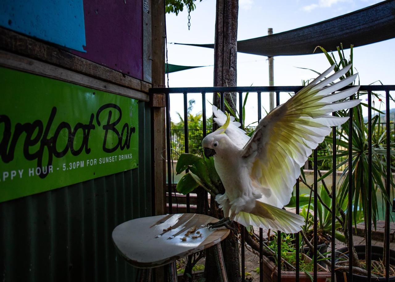 Backpackers By The Bay Hostel Airlie Beach Exterior photo